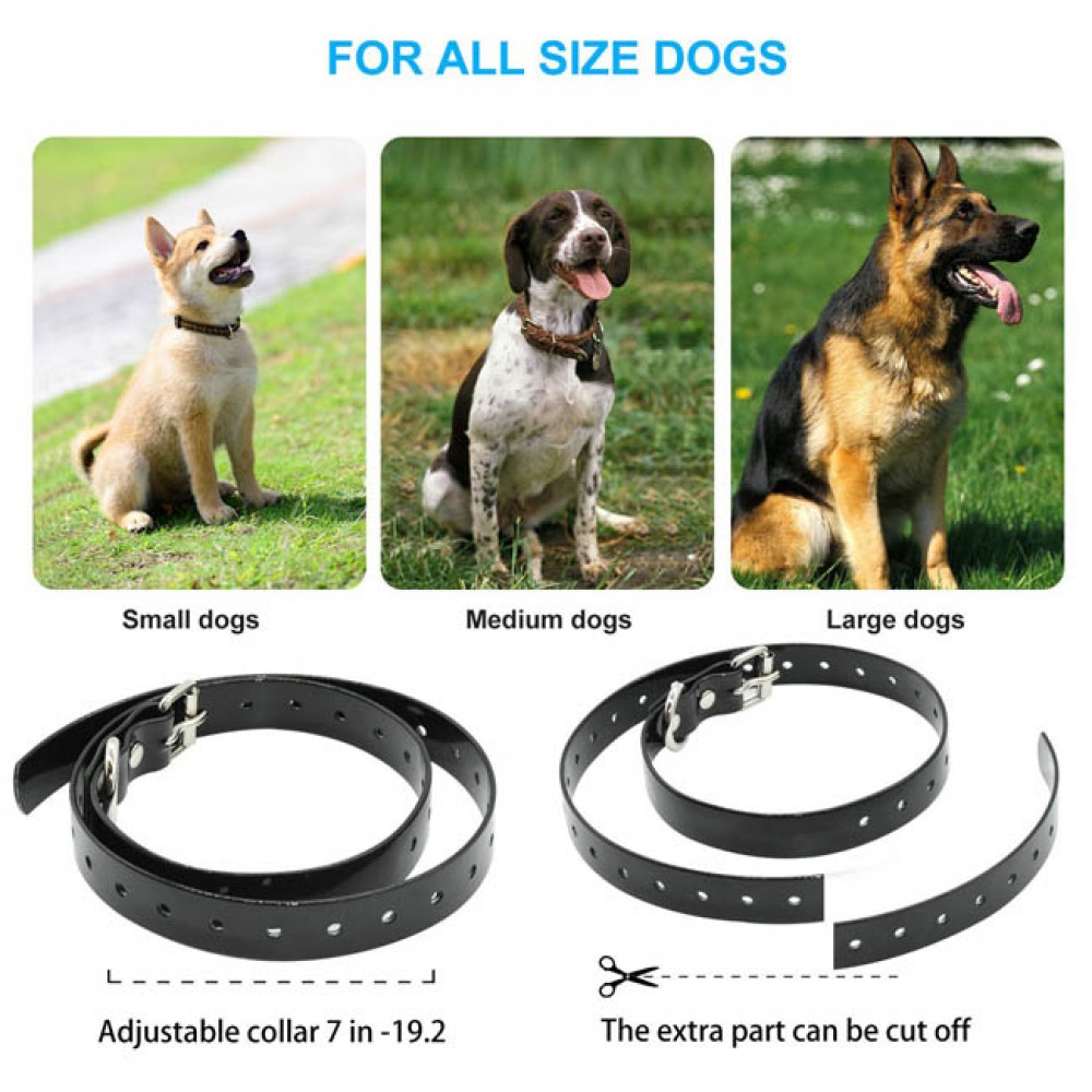 Remote Dog Training Collar with Waterproof and Rechargeable 800 yards