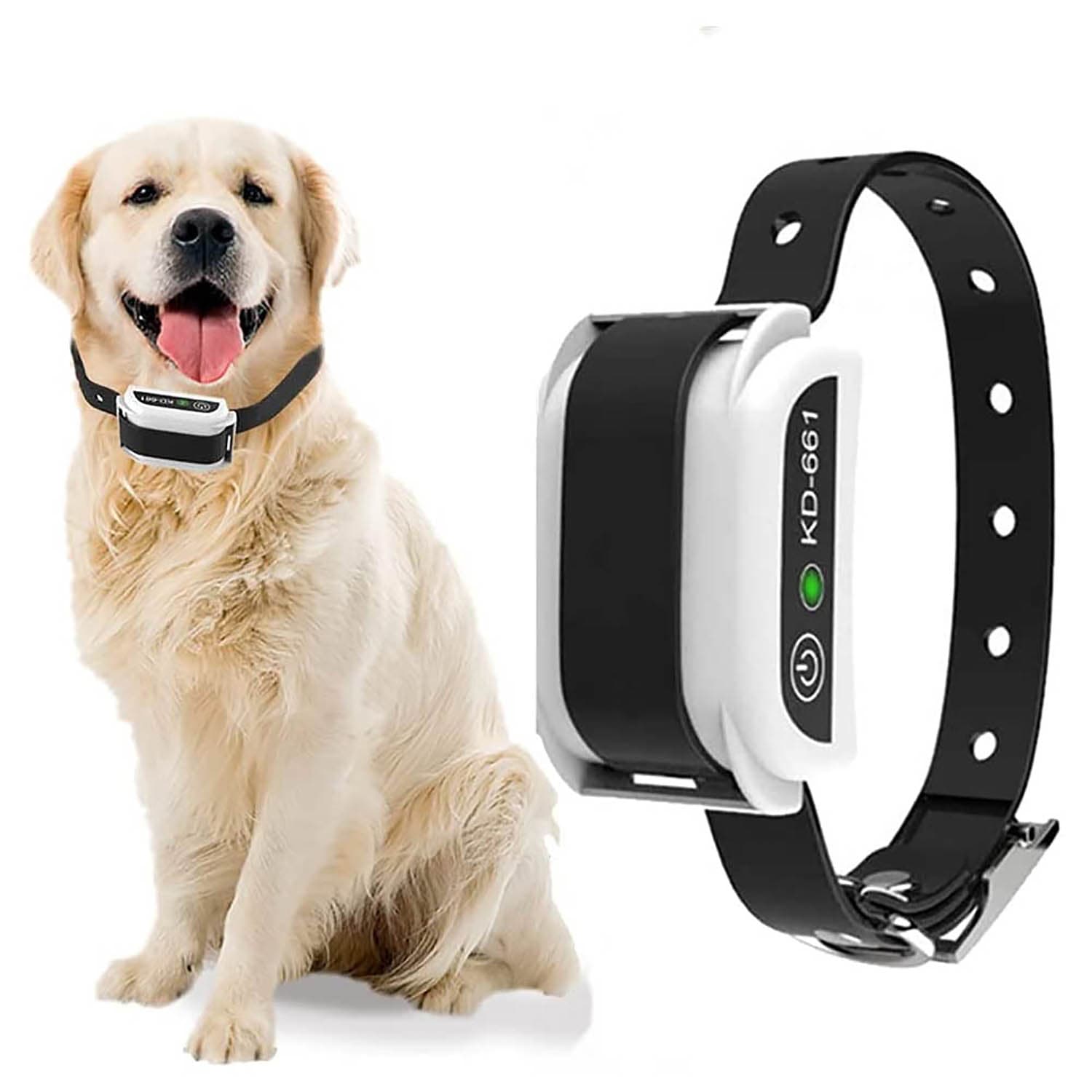 cloture anti fugue chien cloture electrique sans fil pour Chien avec 2 colliers anti fugue chien