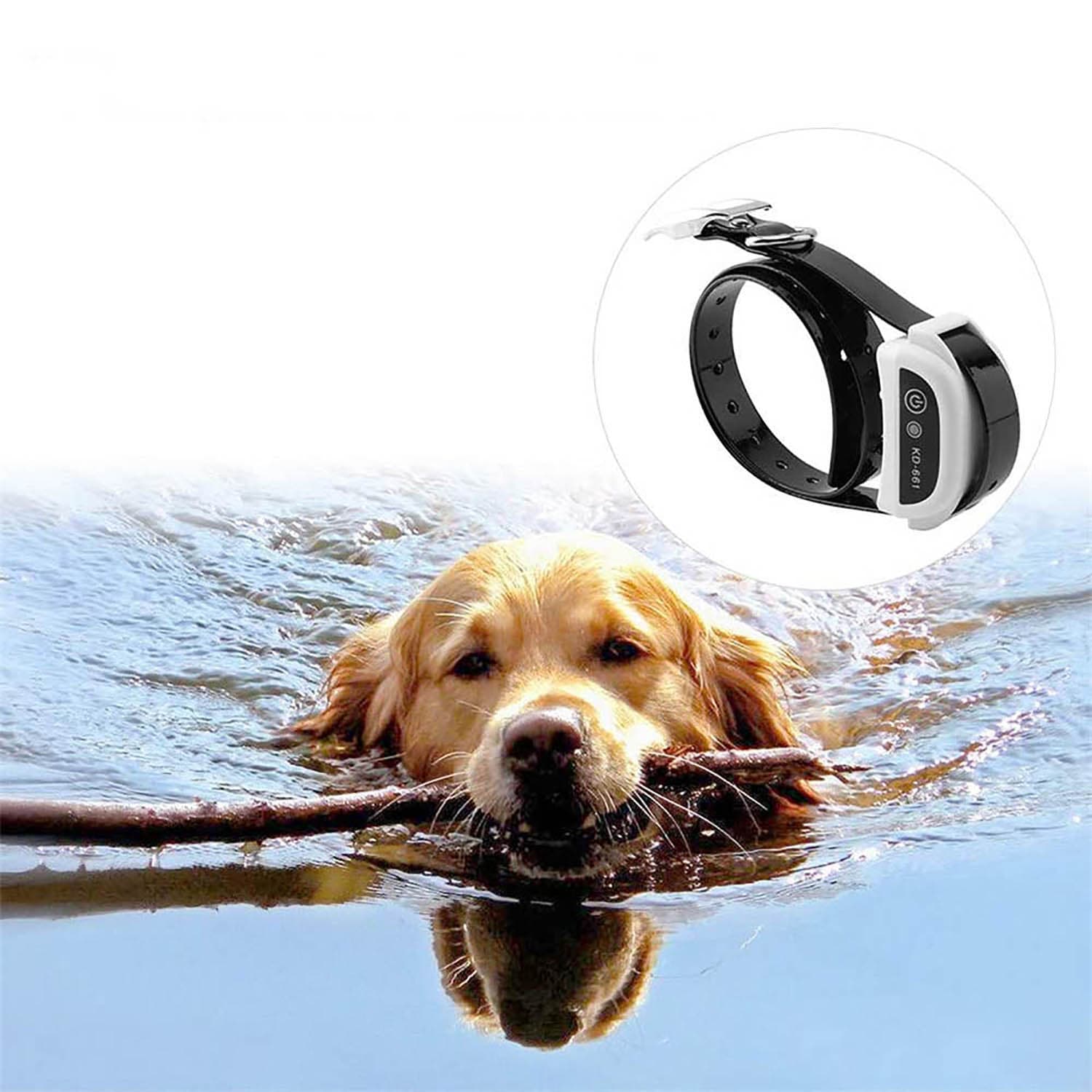 cloture anti fugue chien cloture electrique sans fil pour Chien avec 2 colliers anti fugue chien