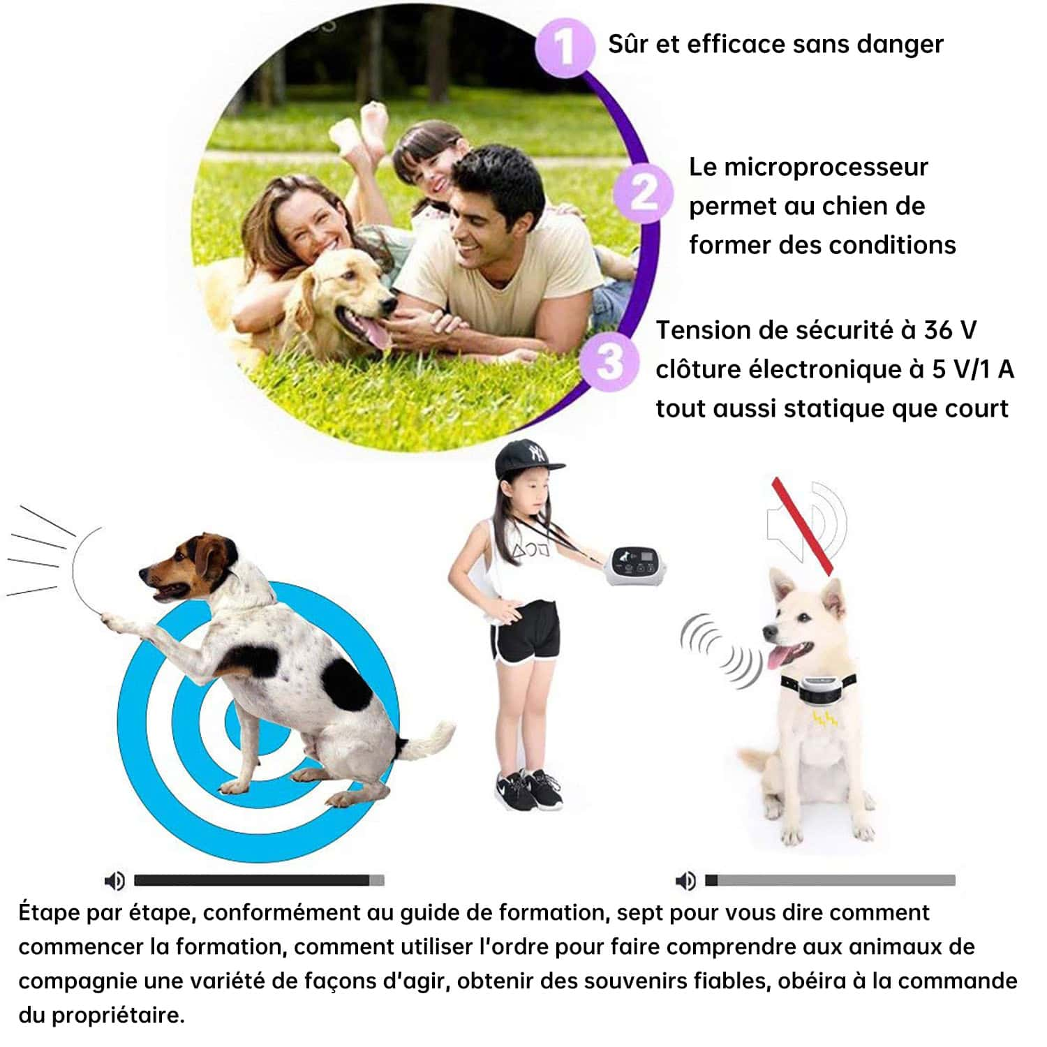 cloture anti fugue chien cloture electrique sans fil pour Chien avec 2 colliers anti fugue chien