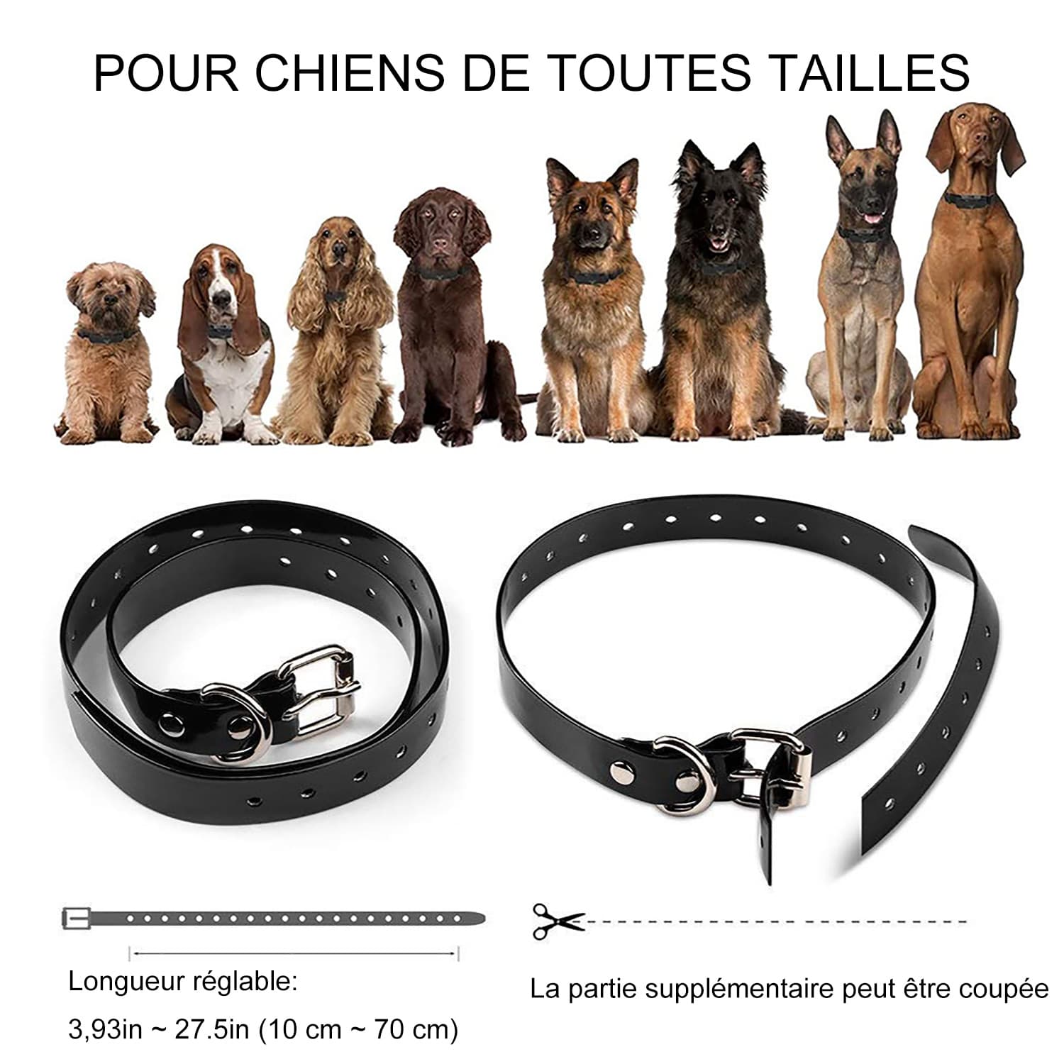 Collier Dressage Chien 1000m avec talkie-walkie étanche et Rechargeable collier electrique chien