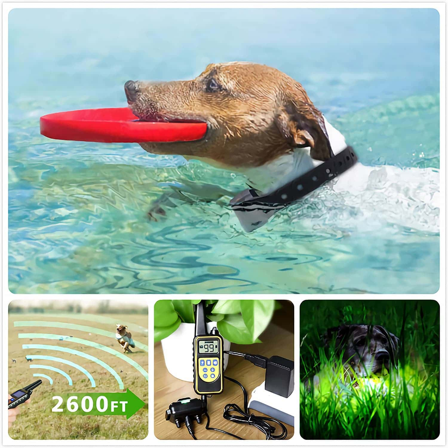 Collier Dressage Chien 800M avec choc Vibration son lumière étanche rechargeable collier electrique chien