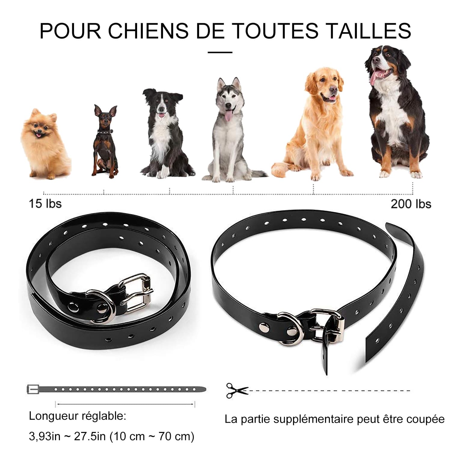 collier de dressage pour chien avec LCD étanche et rechargeable 300m collier electrique chien