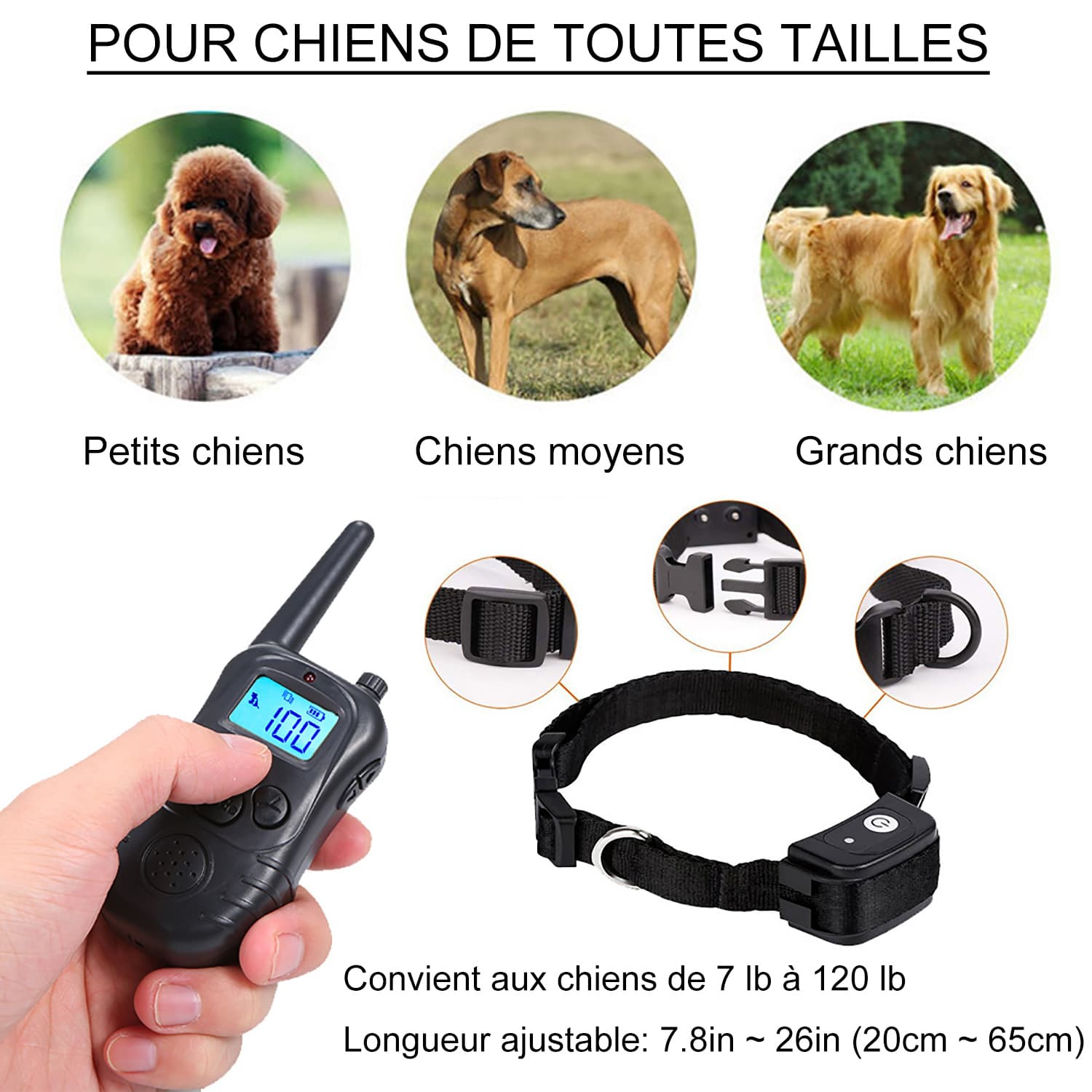 Collier Dressage Chien avec choc Vibration étanche rechargeable 300m collier electrique chien pour 2 chiens