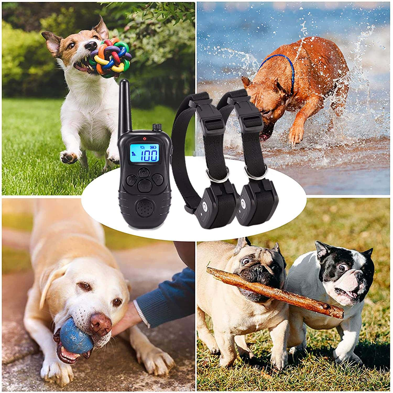 Collier Dressage Chien avec choc Vibration étanche rechargeable 300m collier electrique chien pour 2 chiens