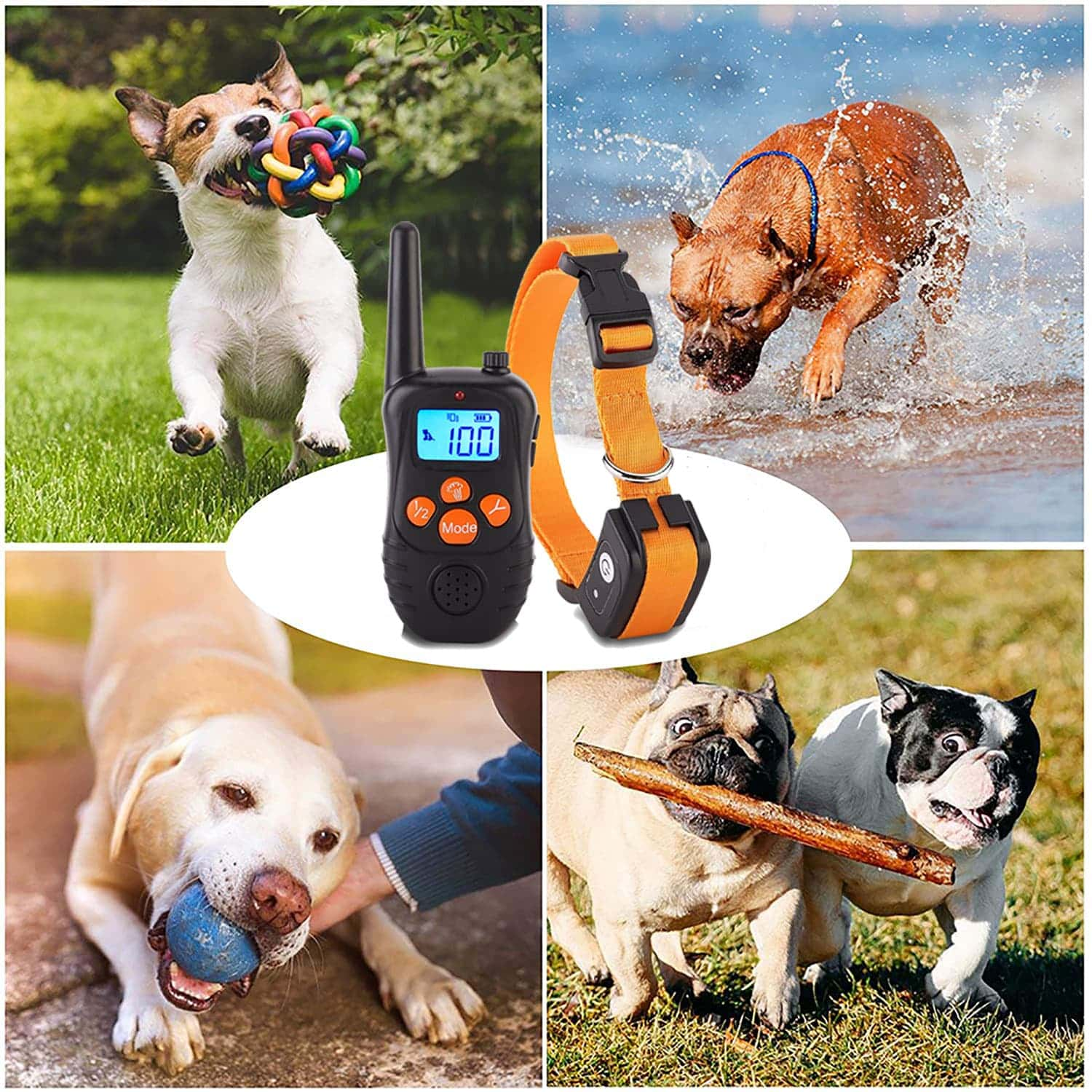 collier de dressage pour chien avec choc Vibration étanche rechargeable 300m collier electrique chien